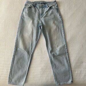 AE Mom Jeans